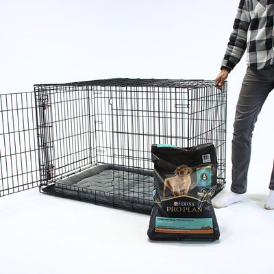 Case Study: KONG Large Double Door Dog Crate